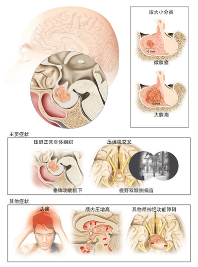 微信图片_20190428180913.png